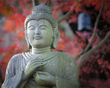 Kamakura-Crop