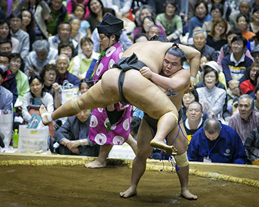 Sumo-Crop