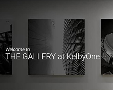 KelbyOne