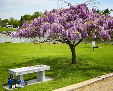 a FallenHeros 008 sm